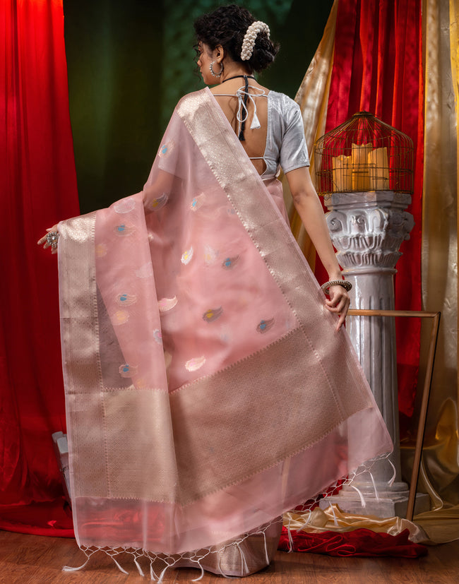 HOUSE OF BEGUM Pure Organza Pech With Meena Work with Blouse Piece